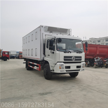 DONGFENG baby chick truck with 8 m body