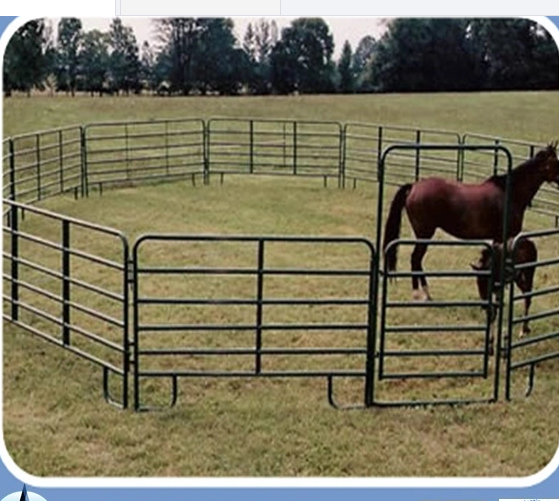 Vente en gros de clôtures pour chevaux