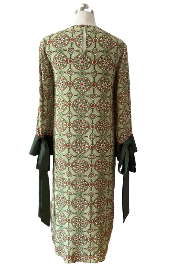 Neck Button Rayon Print Long Sleeve Dress