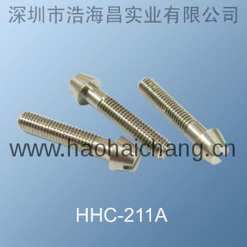 Precision Slot Head Stainless Steel Screw (ISO9001:2008 & TS16949)