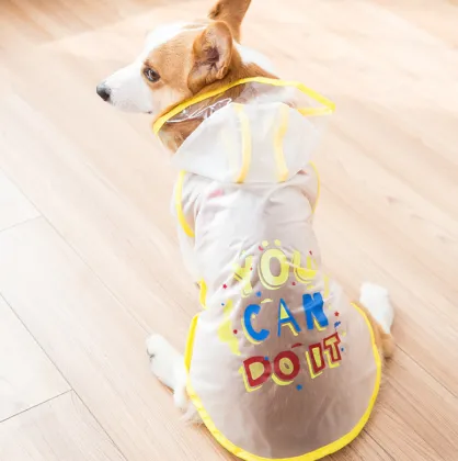 High quality fashion pet clothing waterproof raincoat pet