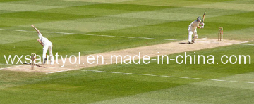 Natural Looking with Artificial Grass for Cricket Field