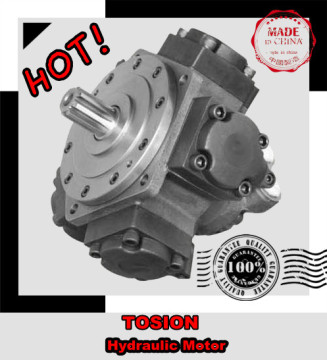 Hydraulic motor