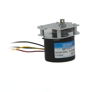 FengTech 49TYD-1 AC Synchronous Motor