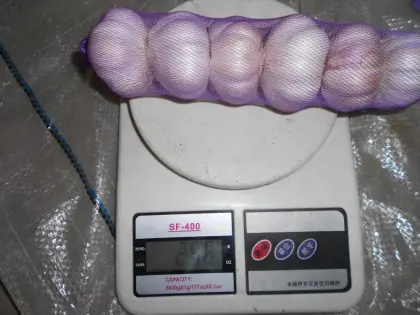 Normal white garlic whole garlic