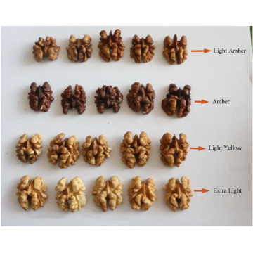 Nueces Dapao de alta calidad