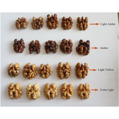 Nueces Dapao de alta calidad