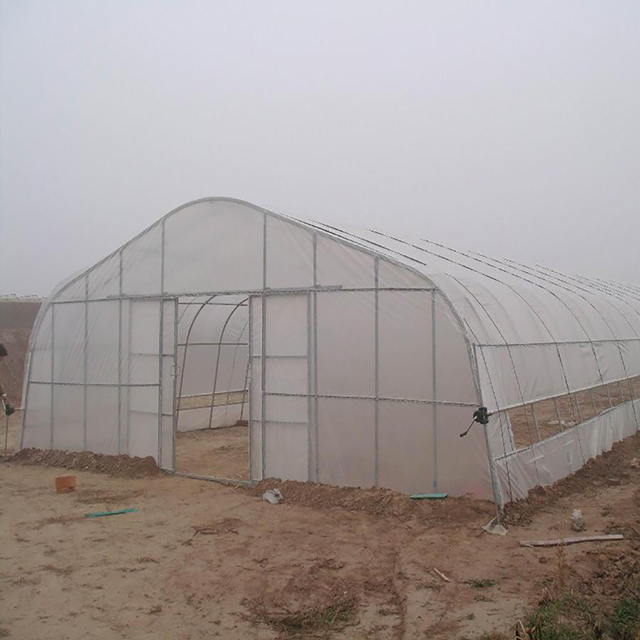 The Latest Plastic Tunnel Greenhouses For Agriculture