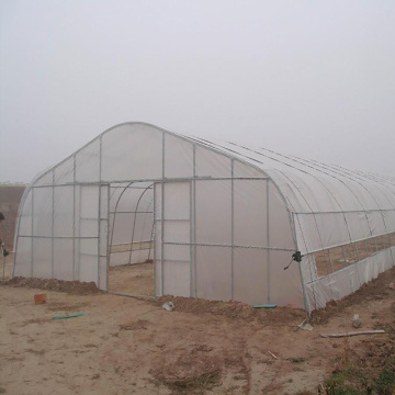 Acheter Tunnel Greenhouse, Hoop Greenhouse pour légumes