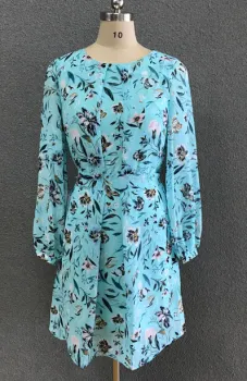 women's print ciffon dress