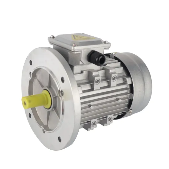 YS/Y2 Series 0.55kW Low Noise Long-Lasting Three-Phase Induction Motor