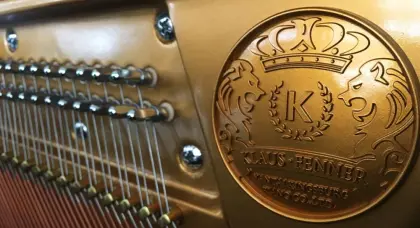 Elegant custom grand piano