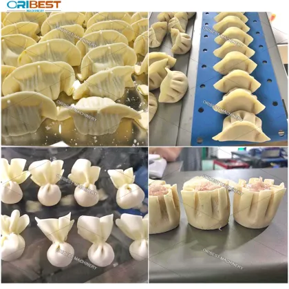 Dumpling and Wonton Machine - 18-25g Capacity
