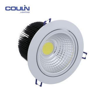 COB Downlight with rotatable 20W