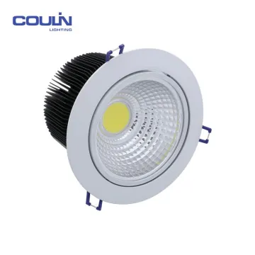 COB Downlight with rotatable 20W