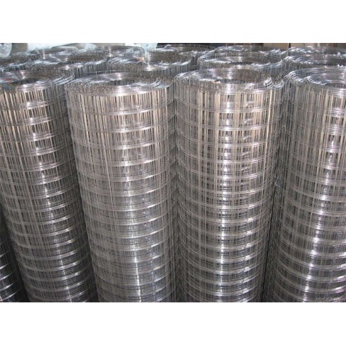Hot-Dipped Galvanized Welded Wire Mensh Stainless Steel Welded Wire Mesh Factory