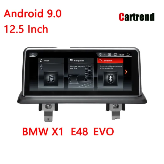 BMW X1 E48  Radio Stereo Dashboard