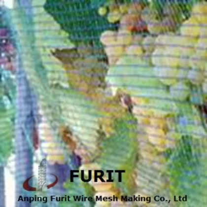vegetables protection net/Fruit protection net/bird protection net