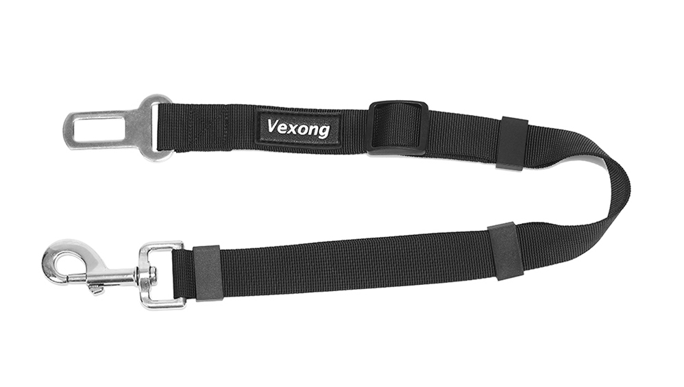 dog leash walmart