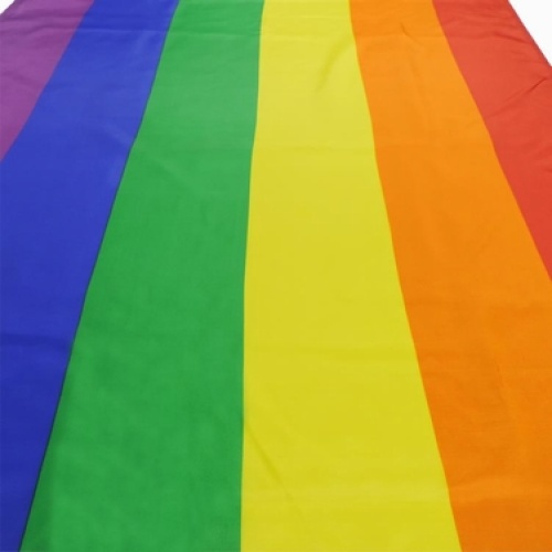 factory price 100% polyester promotional