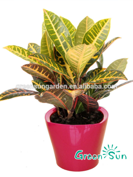 Customized artificial decorative pots gardening planter