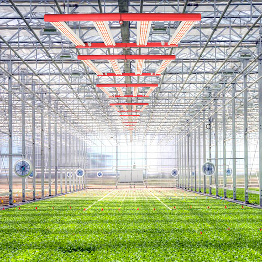 ETL DLC Bahçe LED Grow Işıkları Samsung FC