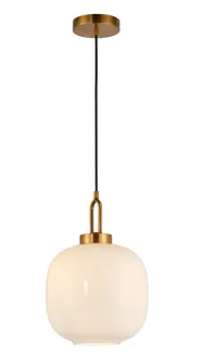 Decorative  Indoor Pendant Lamp