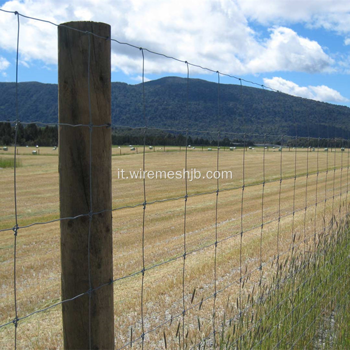 Rete di recinzione di rete Kraal zincata a caldo