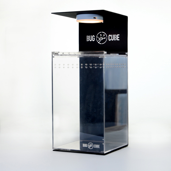 Tamanho personalizado Caixa de criação de acrílico extra espessa