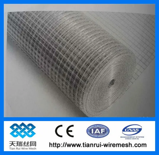 1/4" x 1/4" galvanized welded wire mesh ( factory)/1 inch galvanized welded wire mesh