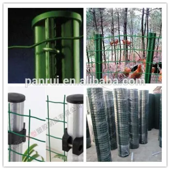 PVC coated 50*50mm holland mesh euro fence Q195 galvanized wire inside