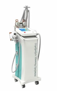 5 Headpieces Coolsculpting Freezing Cryolipolysis Slimming Machine For Lose Weight