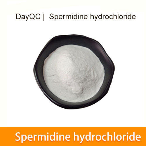 Neuartige Anti-Aging-Spermidinhydrochlorid-Schüttung Rohmaterial