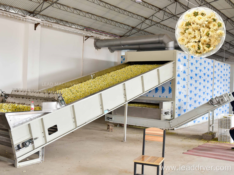 Vegetable multi-layer mesh belt dryer machine