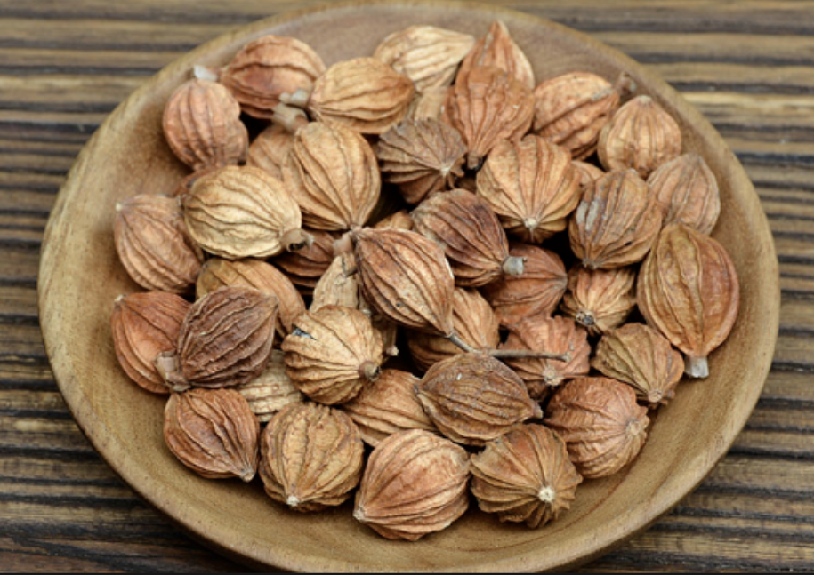 Natural Amomum Extract Powder