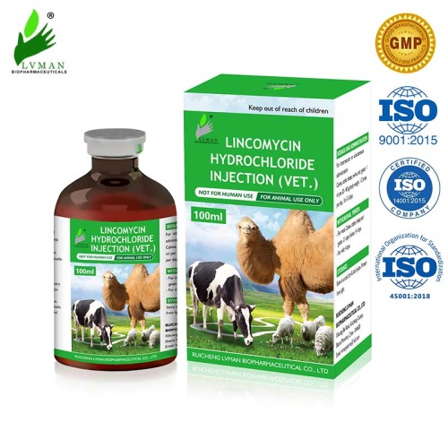 Lincomycin hydrokloridinjektion 5/10/20/50 ml för djur