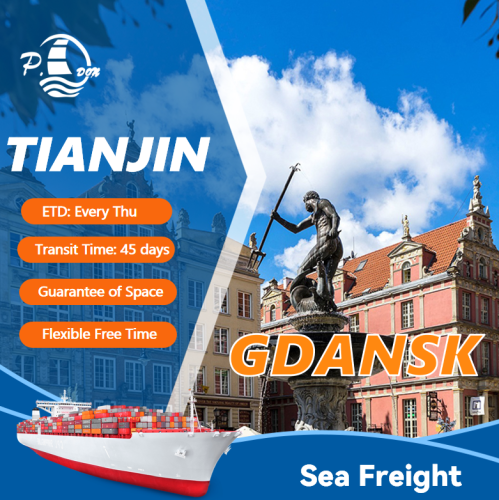 Zeevracht van Tianjin naar Gdansk