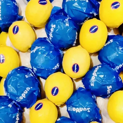 Fresh Citrus Lemon Sour