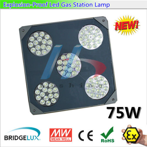 Dustproof Gas Station Canopy Lights High Efficiency