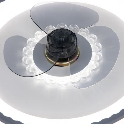 Nordic Modern Ceiling Fan Lamp for Dining Room