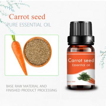 10ml private label wholesale bulk 100 pure carrot seed oil