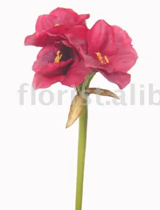 Lg. artificial Amaryllis