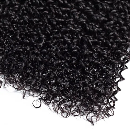 100% Vendor Virgin Curly Hair Bundles with Closure Burmese Raw Hair