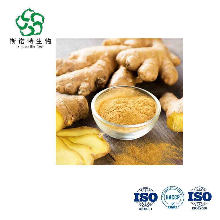 Galangal Root Extract (Gao Liang Jiang 추출물) 분말