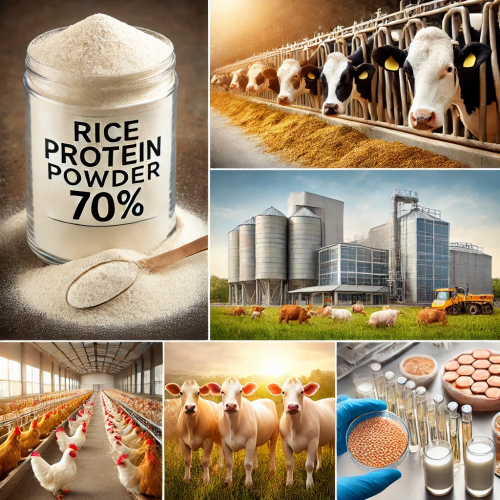 Plant-Based Rice Protein Powder Additives For Pets