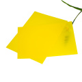 Transparent Yellow Frosted PET Sheet for Printing