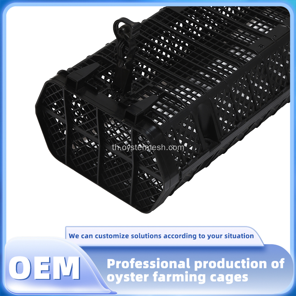 ขายส่งผู้จัดจำหน่ายกรงเลี้ยงหอยนางรม HDPE หกเหลี่ยม