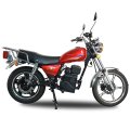 TZ Hub-Motor Electric Motorcycle