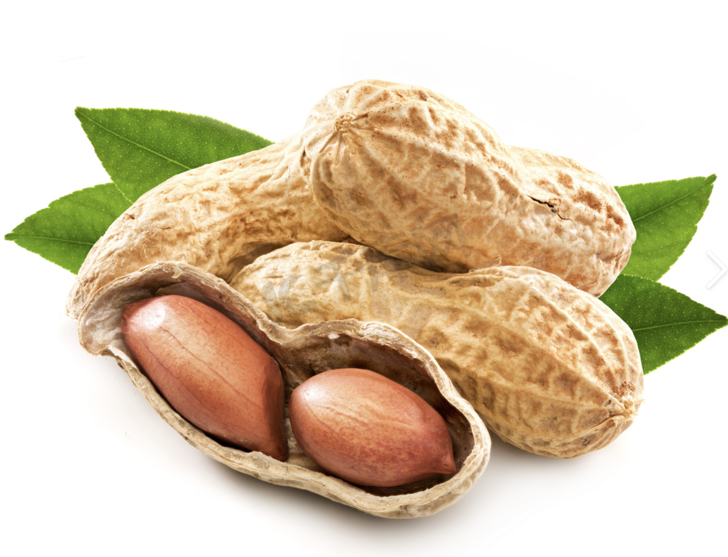 Pea Protein for Plant-Based Production