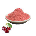 Organic Acerola Cherry Extract Powder